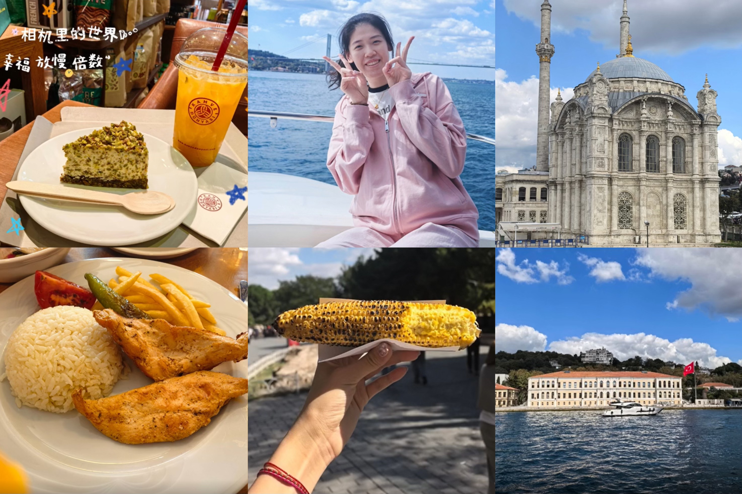 海外集训花, alt 海外集训花, alt